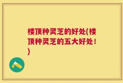 楼顶种灵芝的好处(楼顶种灵芝的五大好处！)