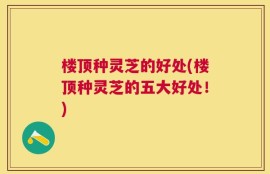 楼顶种灵芝的好处(楼顶种灵芝的五大好处！)