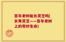 百年老树能长灵芝吗(长寿灵芝——百年老树上的奇妙生命)