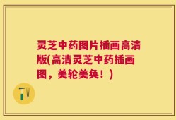 灵芝中药图片插画高清版(高清灵芝中药插画图，美轮美奂！)