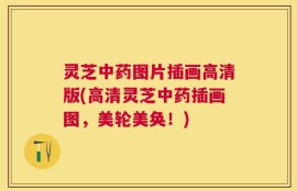 灵芝中药图片插画高清版(高清灵芝中药插画图，美轮美奂！)