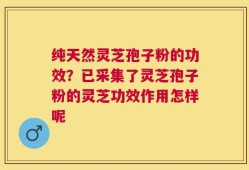 纯天然灵芝孢子粉的功效？已采集了灵芝孢子粉的灵芝功效作用怎样呢
