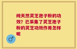 纯天然灵芝孢子粉的功效？已采集了灵芝孢子粉的灵芝功效作用怎样呢