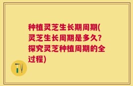 种植灵芝生长期周期(灵芝生长周期是多久？探究灵芝种植周期的全过程)
