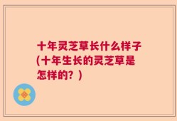 十年灵芝草长什么样子(十年生长的灵芝草是怎样的？)