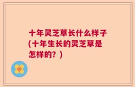 十年灵芝草长什么样子(十年生长的灵芝草是怎样的？)