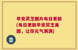 早安灵芝图片每日更新(每日更新早安灵芝美图，让你元气满满)
