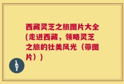 西藏灵芝之旅图片大全(走进西藏，领略灵芝之旅的壮美风光（带图片）)