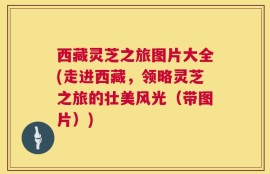 西藏灵芝之旅图片大全(走进西藏，领略灵芝之旅的壮美风光（带图片）)