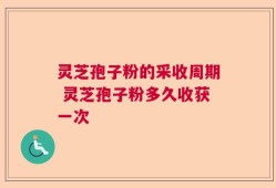 灵芝孢子粉的采收周期 灵芝孢子粉多久收获一次