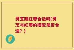灵芝跟红枣合适吗(灵芝与红枣的搭配是否合适？)