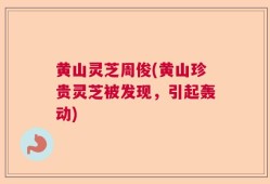 黄山灵芝周俊(黄山珍贵灵芝被发现，引起轰动)