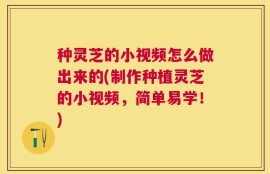 种灵芝的小视频怎么做出来的(制作种植灵芝的小视频，简单易学！)