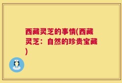 西藏灵芝的事情(西藏灵芝：自然的珍贵宝藏)