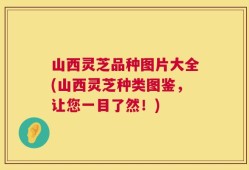 山西灵芝品种图片大全(山西灵芝种类图鉴，让您一目了然！)