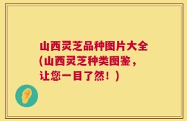 山西灵芝品种图片大全(山西灵芝种类图鉴，让您一目了然！)