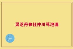 灵芝丹参杜仲川芎泡酒