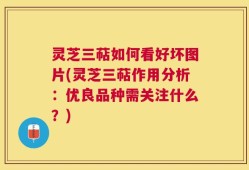 灵芝三萜如何看好坏图片(灵芝三萜作用分析：优良品种需关注什么？)