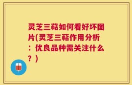 灵芝三萜如何看好坏图片(灵芝三萜作用分析：优良品种需关注什么？)