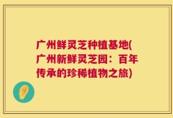 广州鲜灵芝种植基地(广州新鲜灵芝园：百年传承的珍稀植物之旅)