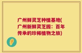 广州鲜灵芝种植基地(广州新鲜灵芝园：百年传承的珍稀植物之旅)