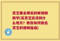 灵芝要去哪买的呢视频教学(买灵芝应该到什么地方？教你如何挑选灵芝的视频指南)