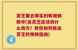 灵芝要去哪买的呢视频教学(买灵芝应该到什么地方？教你如何挑选灵芝的视频指南)