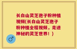 长白山灵芝孢子粉种植视频(长白山灵芝孢子粉种植全程视频，走进神秘的灵芝世界！)