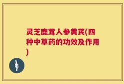 灵芝鹿茸人参黄芪(四种中草药的功效及作用)