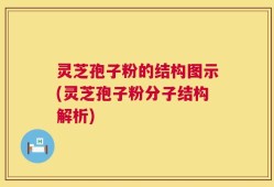 灵芝孢子粉的结构图示(灵芝孢子粉分子结构解析)