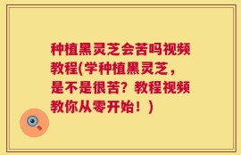 种植黑灵芝会苦吗视频教程(学种植黑灵芝，是不是很苦？教程视频教你从零开始！)