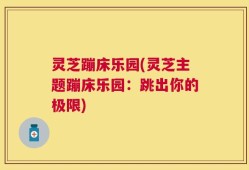 灵芝蹦床乐园(灵芝主题蹦床乐园：跳出你的极限)