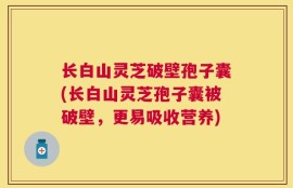 长白山灵芝破壁孢子囊(长白山灵芝孢子囊被破壁，更易吸收营养)