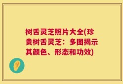 树舌灵芝照片大全(珍贵树舌灵芝：多图揭示其颜色、形态和功效)