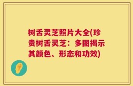 树舌灵芝照片大全(珍贵树舌灵芝：多图揭示其颜色、形态和功效)