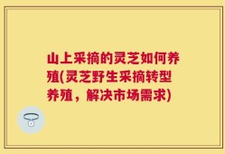 山上采摘的灵芝如何养殖(灵芝野生采摘转型养殖，解决市场需求)
