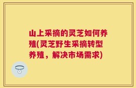 山上采摘的灵芝如何养殖(灵芝野生采摘转型养殖，解决市场需求)