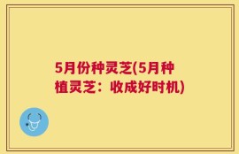 5月份种灵芝(5月种植灵芝：收成好时机)