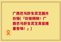 广西巴马野生灵芝图片价格(「价格揭晓！广西巴马野生灵芝真容隆重登场！」)