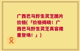 广西巴马野生灵芝图片价格(「价格揭晓！广西巴马野生灵芝真容隆重登场！」)