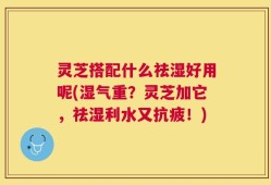 灵芝搭配什么祛湿好用呢(湿气重？灵芝加它，祛湿利水又抗疲！)