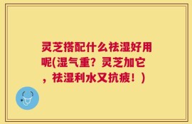 灵芝搭配什么祛湿好用呢(湿气重？灵芝加它，祛湿利水又抗疲！)