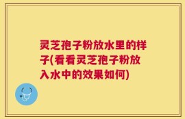 灵芝孢子粉放水里的样子(看看灵芝孢子粉放入水中的效果如何)