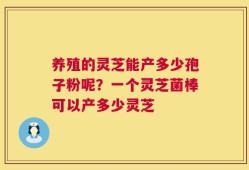 养殖的灵芝能产多少孢子粉呢？一个灵芝菌棒可以产多少灵芝