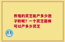 养殖的灵芝能产多少孢子粉呢？一个灵芝菌棒可以产多少灵芝