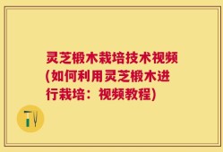灵芝椴木栽培技术视频(如何利用灵芝椴木进行栽培：视频教程)