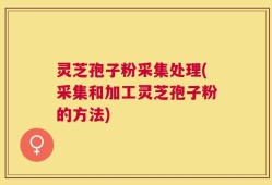 灵芝孢子粉采集处理(采集和加工灵芝孢子粉的方法)