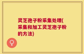 灵芝孢子粉采集处理(采集和加工灵芝孢子粉的方法)