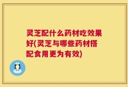 灵芝配什么药材吃效果好(灵芝与哪些药材搭配食用更为有效)
