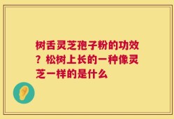 树舌灵芝孢子粉的功效？松树上长的一种像灵芝一样的是什么